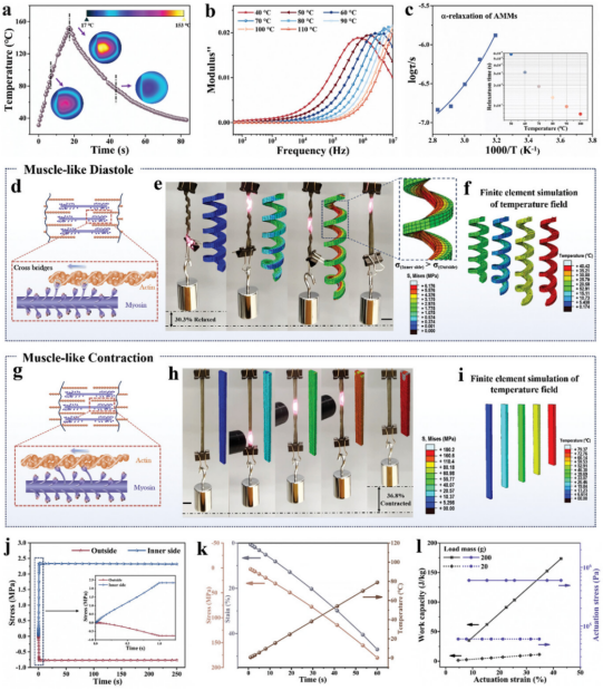 《Advanced Materials》发表航空学院苗应刚合作研究成果-20241225(1)1216.png